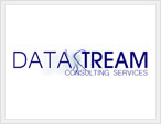 Data Stream Consulting Services